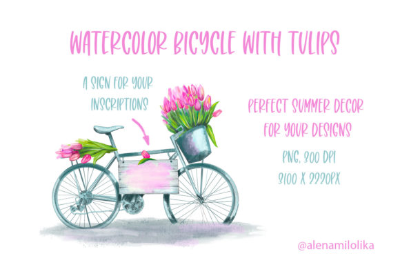 Watercolor Bicycle with Tulips. Summer